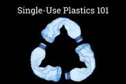 Single use plastics
